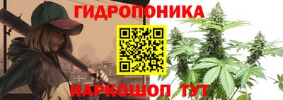 ГАЛЛЮЦИНОГЕННЫЕ ГРИБЫ Ярцево