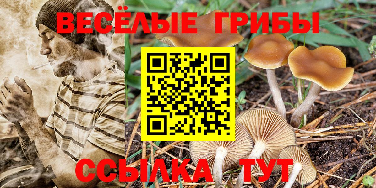 Алапаевск  Псилоцибиновые грибы мицелий  Псилоцибиновые грибы прущие грибы  Вход с VPN 